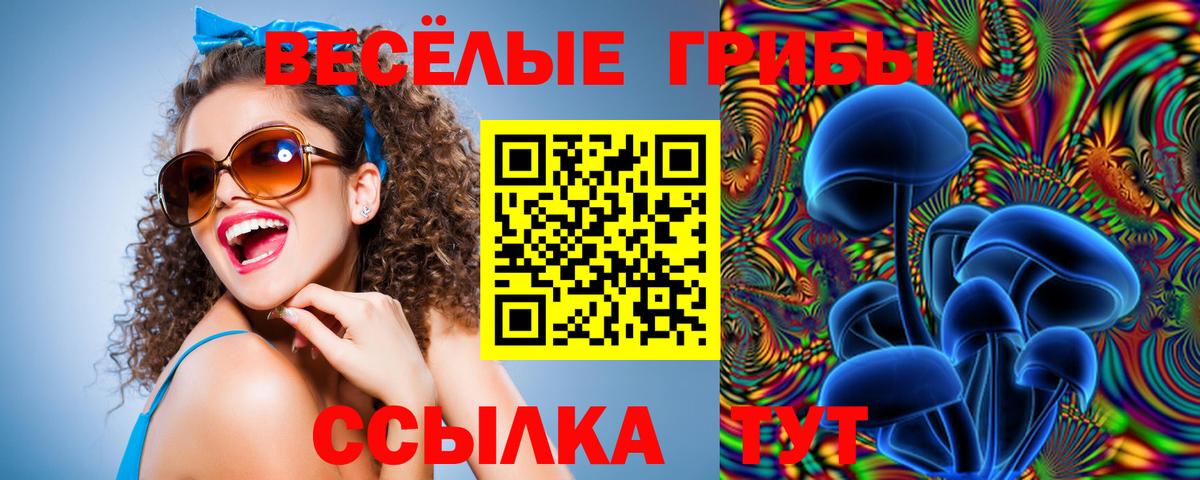 Чебоксары  Псилоцибиновые грибы MAGIC MUSHROOMS  Псилоцибиновые грибы мицелий  Вход с VPN 